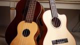 Ukulele