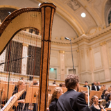 Harpesammenspil - projekt Harpesammenspil - projekt