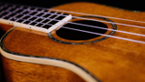 Ukulele - voksen